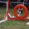 foire-haricots 2011-09-17et18